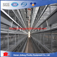 H-Type Chicken Cage Poultry Farm Equipment for Layer Chicken